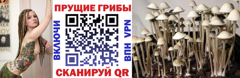 Галлюциногенные грибы ЛСД  Купить  Кудымкар 